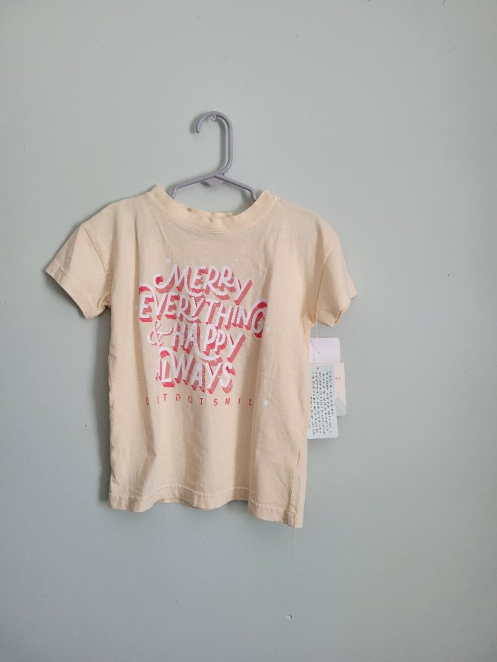 Dot Dot Smile Holiday Shirt 3/4 Toddler Merry Everything Limited Edition NWT